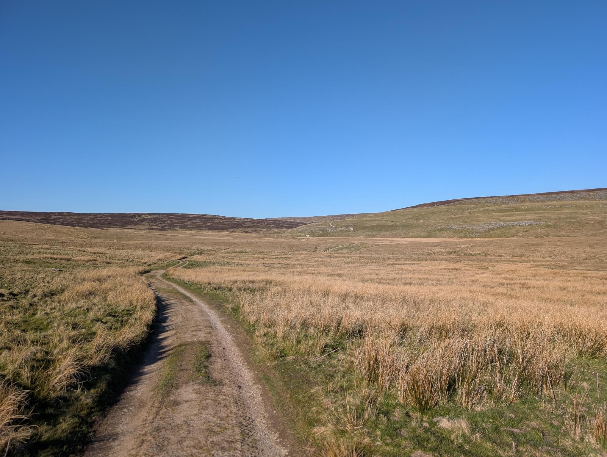 Overnight in Mossdale (part 1) photo 3