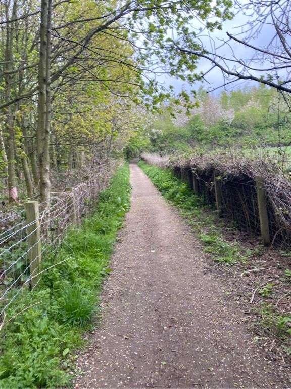 Featherstone Chaingang 32.9 mi Cycling Route on Strava