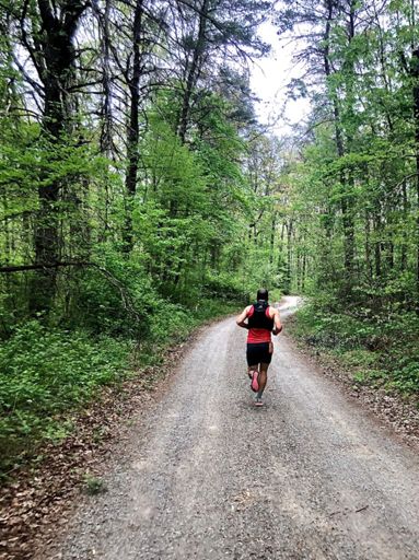 Cruising on the gravel of the fire tower road, time for some solo running!