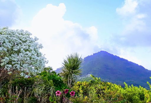 La Grande Dame en tenue de fin d annee