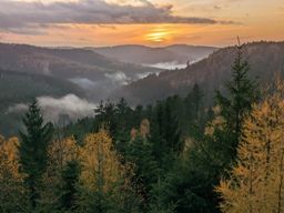 Sortie VTT dans l’après-midi
