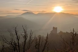 Falkenstein Ortenbourg