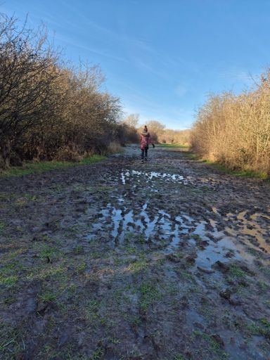 This was all frozen solid so pretty much "road-shoe-suitable" 😀