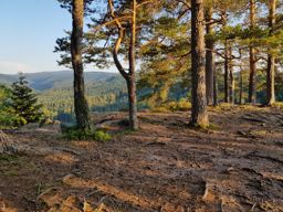 Abreschviller Walscheid