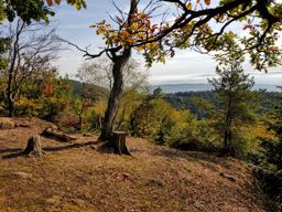 La Hoube Wuestenberg