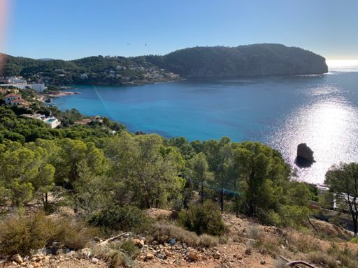 Auch ganz nett hier😎