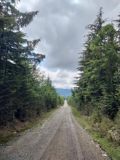 Absolutely terrific forest service roads found today.