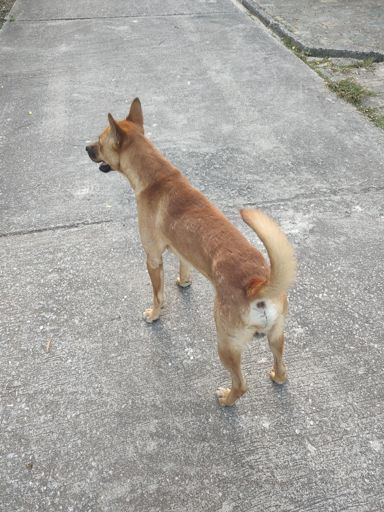 this guide got potential - see you again soon ;)