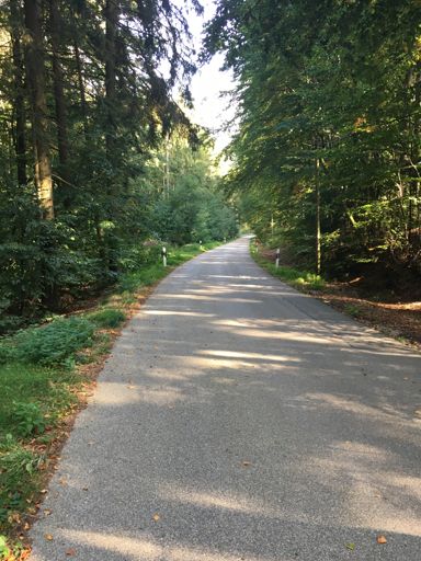 wenn der Puls mitmacht - könnte man weiterfahren ;-)