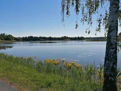 Étang de gondrexange