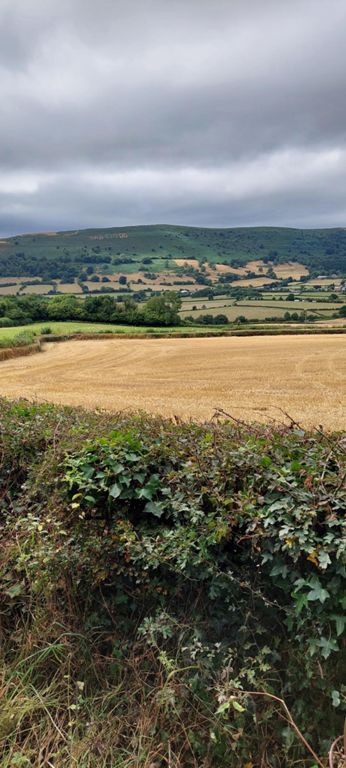 Same hillside image in a wider environment