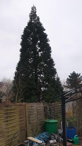 Karlstein am Main ID23128 BM Luitpoldstr 9