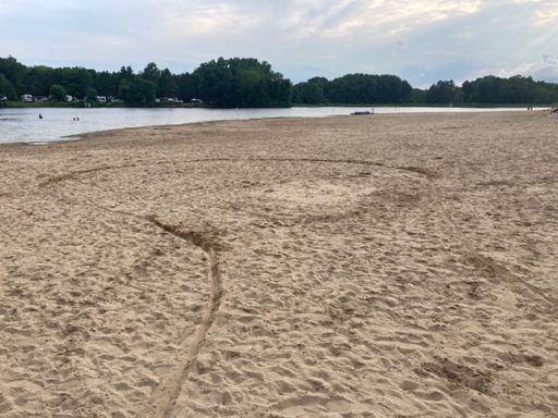 It’s not Mvdp but it’s something