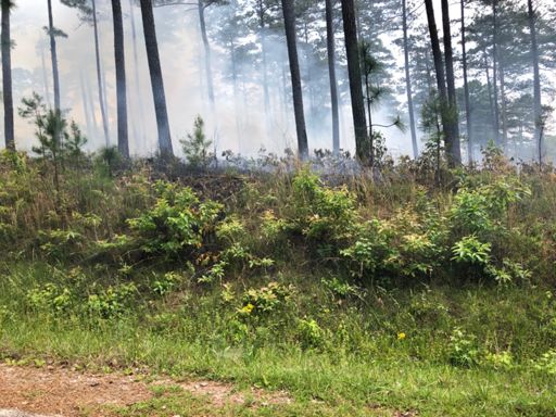 Active controlled burn was killing my allergies, ask the guys I was sneezing A LOT.