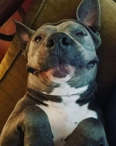 You like my steak lips? 💋