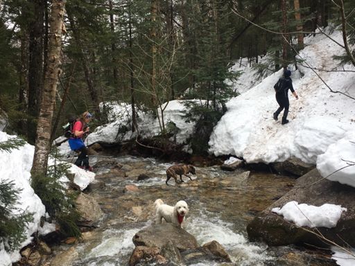 No more snow bridges = swimmin' Sarge!