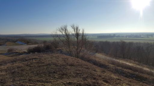 Blick vom Hahneberg Richtung Grunewald
