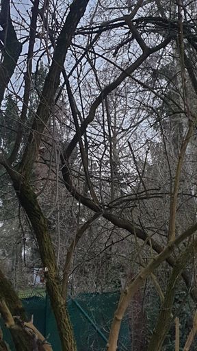 Oberursel_ID23837_UM_An der Loosheck_Flur85