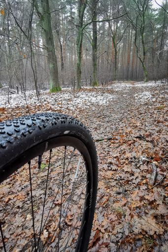 Robuster Reifen, rollt sehr gut, Grip ist auch gut. Bei tieferem Matsch natürlich eingeschränkt. Feine Dämpfung ist eher nicht seine Stärke. Hatte hinten 2, vorne 1,9 bar drauf. Ginge vorne durchaus auch noch mit etwas weniger Druck.