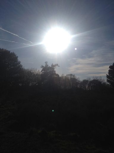 Some weird thing in the sky