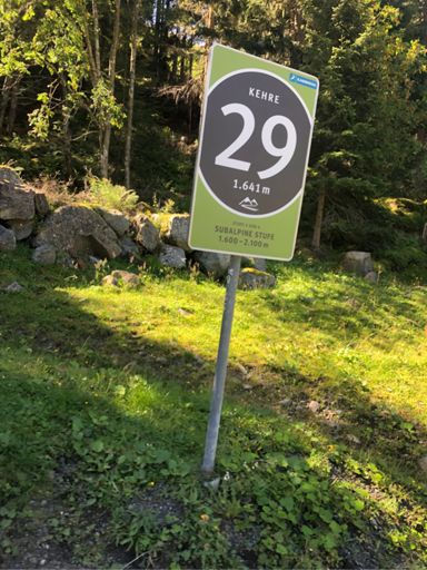 Almost half way up then the switch backs started 🤣🤣🤣