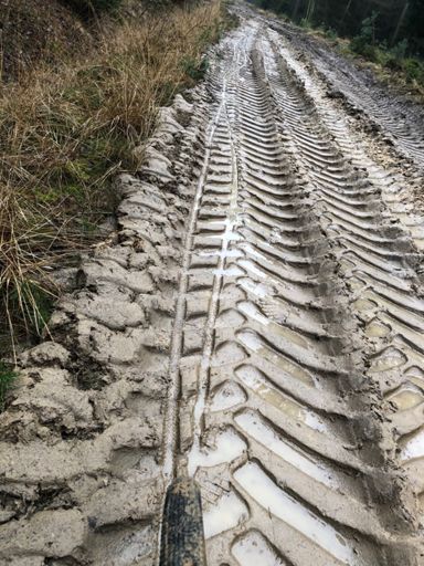 Ich bin nicht alleine.