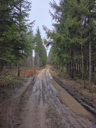 Skrót z Wólki w stronę Podratowca