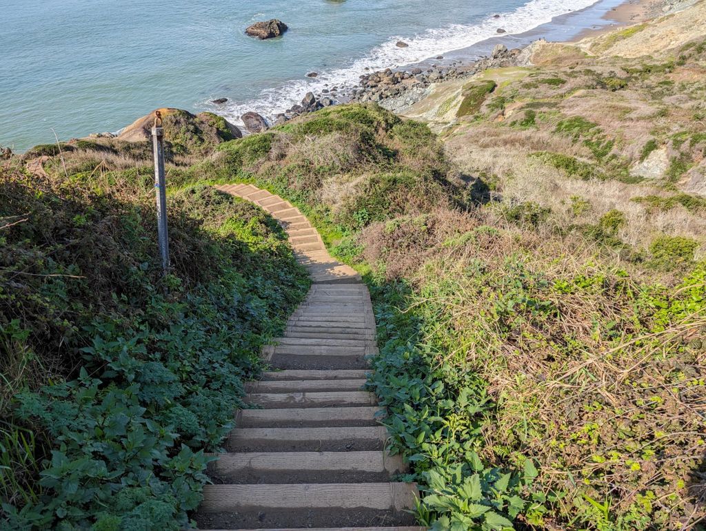 Butterlap (Presidio & Golden Gate Park) photo 50