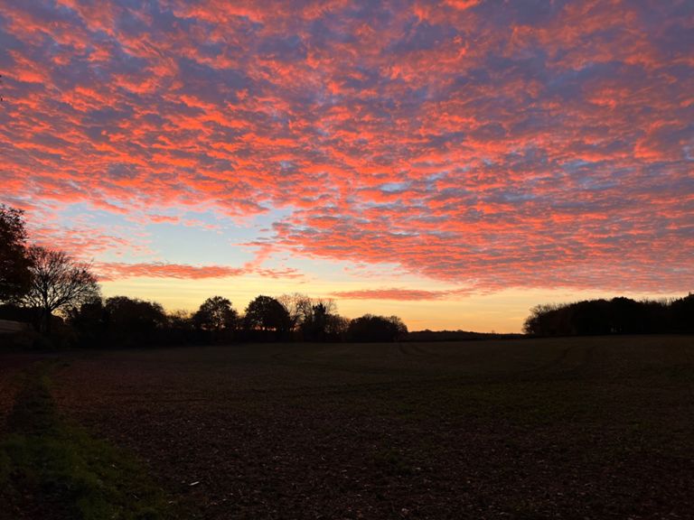 Brewhouse Wheathampstead G ride 49.5 mi Cycling Route on Strava