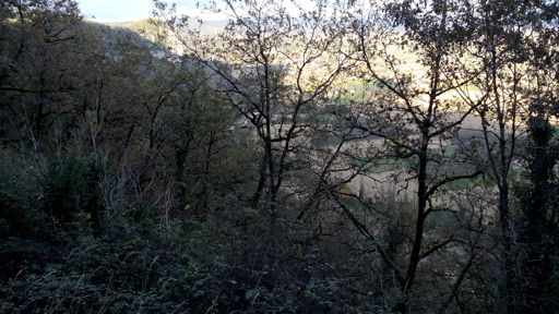 4 novembre, au dessus de St Sozy qu'on aperçoit à travers les arbres