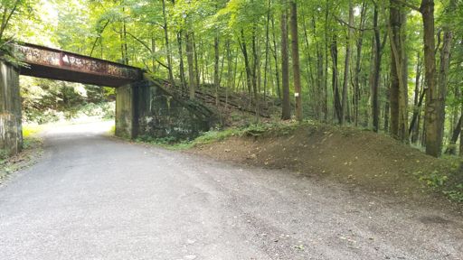 Ohio gravel/road berms are on point.