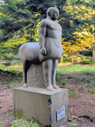 rando  Colbery Kohlberg Donon