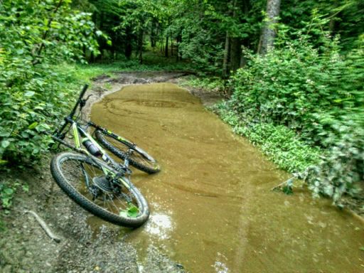 to bajorko mnie pokonało = mokry po pachy