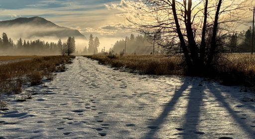 Foggy atmosphere after inches of rain.