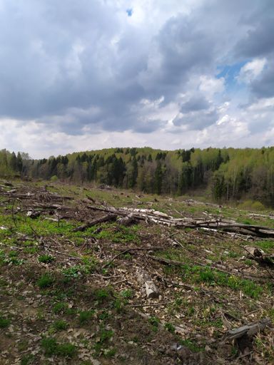 Бывшая трасса скалба