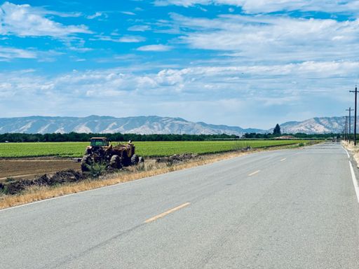 standard pastoral central section 