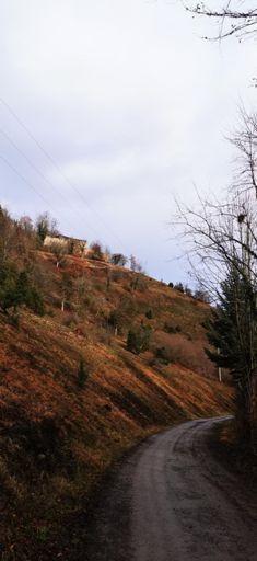 Burgruine Bahlbeck bei Sulz am Neckar