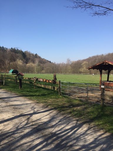 Glasebachtal ein Stück Schönheit im Sonst traurigen Wald