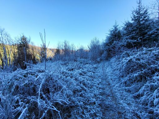 Dans les terres froides ❄️