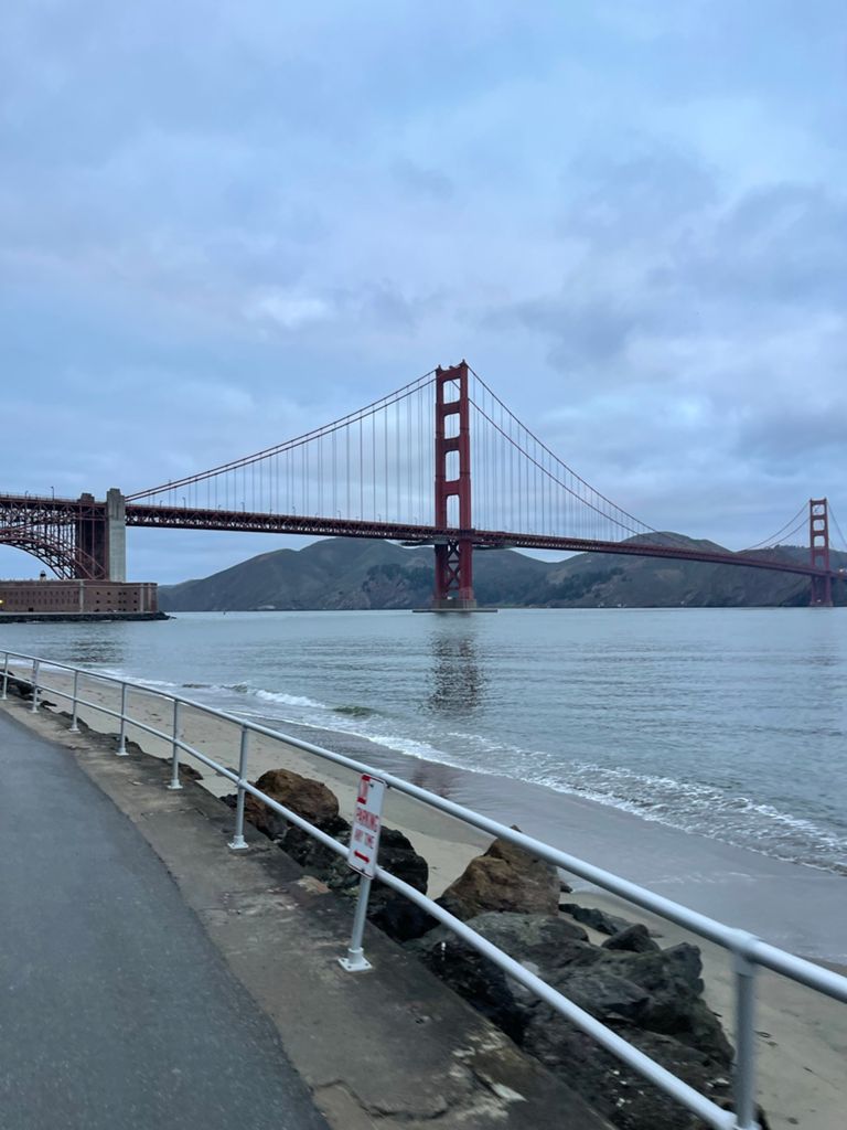 Butterlap (Presidio & Golden Gate Park) photo 167