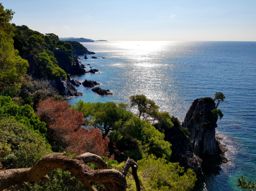 Presqu’île de Giens