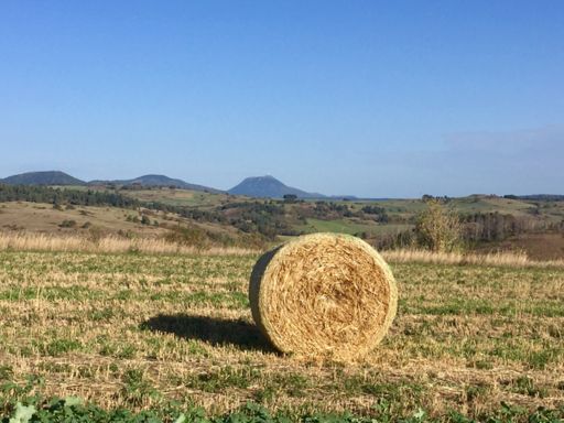 Meule de foin 😂