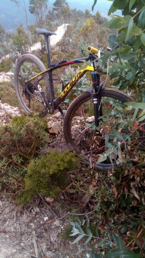 No seu ambiente natural. 😘