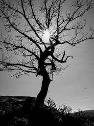 Sortie à vélo le midi