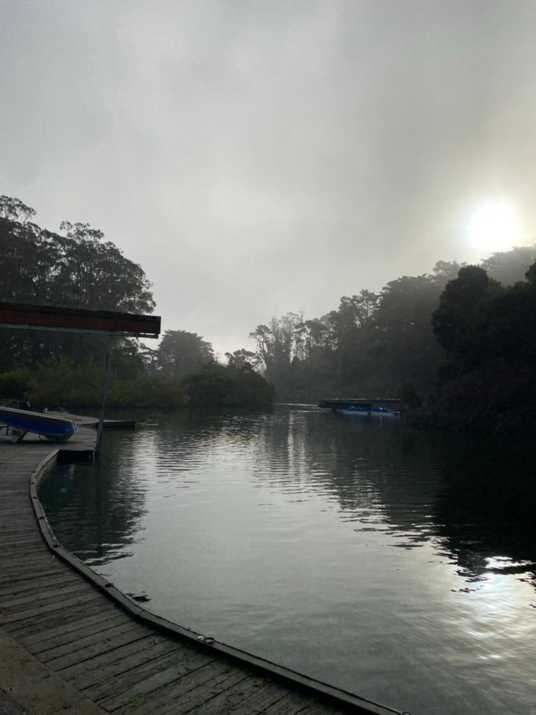 Butterlap (Presidio & Golden Gate Park) photo 164