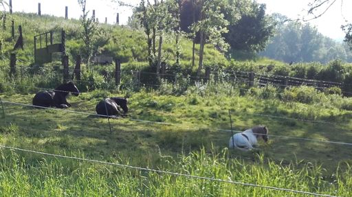 Vélo ou cheval pour traverser le Vexin?