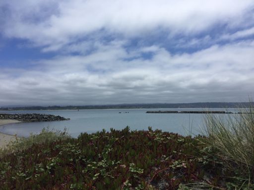 Humboldt Bay
