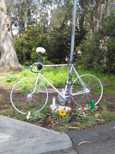 Felons in stolen cars suck.