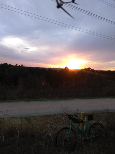 Sophie taking a break at sunset.