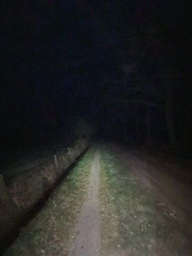 Voor dag en dauw de hort op